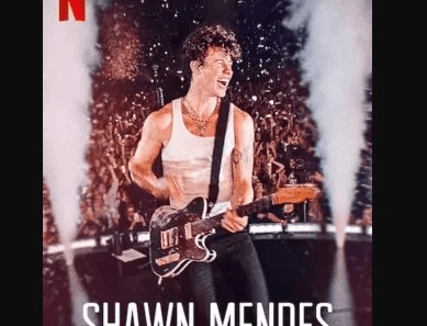 Shawn Mendes Live in Concert (2020)