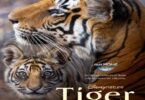 Download Tiger (2024) - Mp4 FzMovies