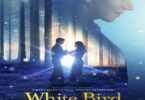 Download White Bird (2024) - Mp4 FzMovies